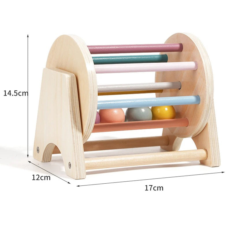 Montessori Wooden Coin & Ball Drop Box Toy