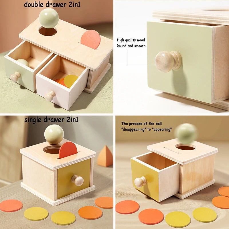 Montessori Wooden Coin & Ball Drop Box Toy